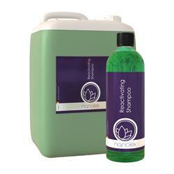Nanolex Reactivating Shampoo (750ml & 5 Litres)