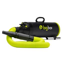 BigBoi BlowR Mini+ Car Dryer