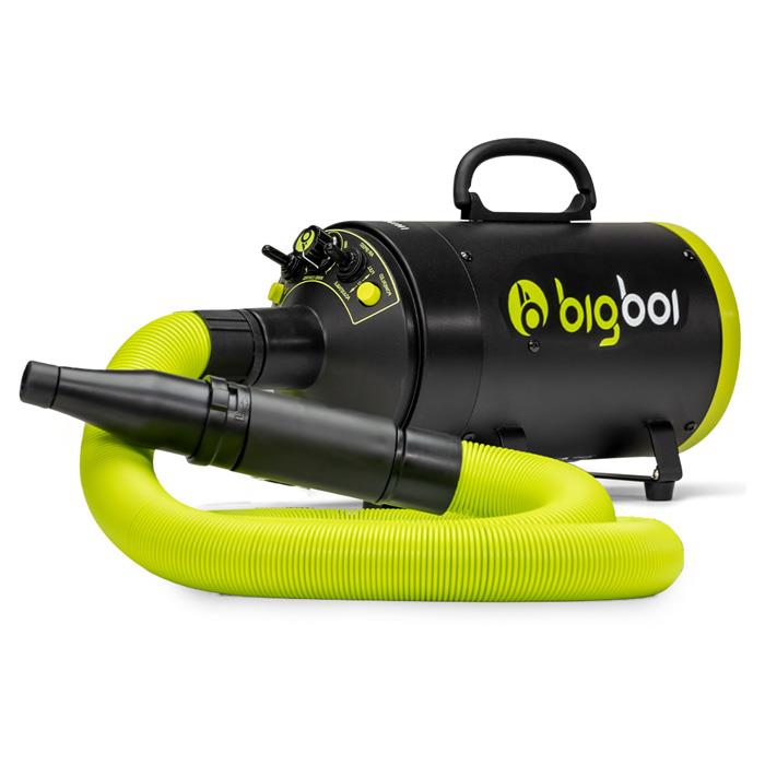 BigBoi BlowR Mini Car Dryer