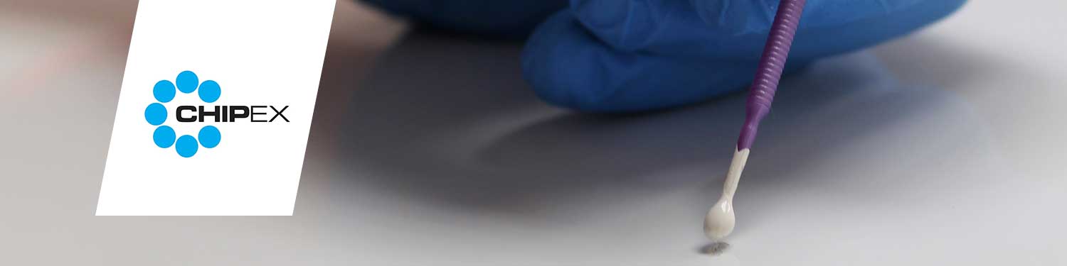 ChipEx Paint Repair System